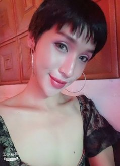 AnnaLadyboy, District 1 ,Ho Chi Minh - Transsexual escort in Ho Chi Minh City Photo 8 of 13