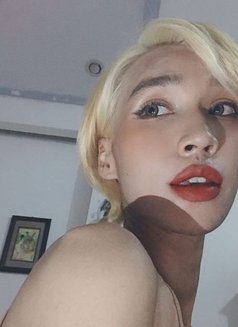 AnnaLadyboy, District 1 ,Ho Chi Minh - Transsexual escort in Ho Chi Minh City Photo 7 of 8