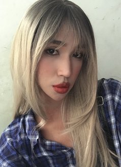 AnnaLadyboy, District 1 ,Ho Chi Minh - Transsexual escort in Ho Chi Minh City Photo 13 of 14