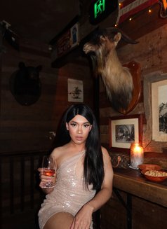 Annapartty - Transsexual escort in Kuala Lumpur Photo 3 of 22