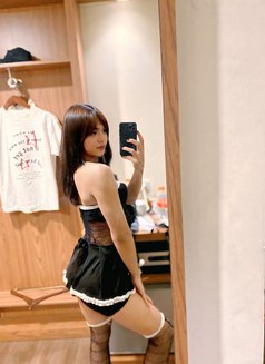 Annatasya asian ladyboys - Transsexual escort in Bali Photo 6 of 23