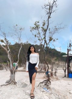 Annatasya asian ladyboys - Transsexual escort in Bali Photo 12 of 23
