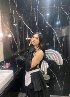 Annatasya asian ladyboys - Transsexual escort in Bali Photo 16 of 23