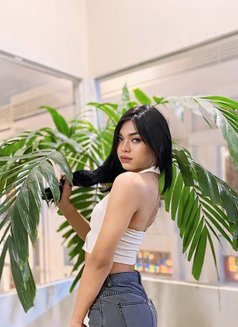 Annatasya asian ladyboys - Transsexual escort in Bali Photo 21 of 23