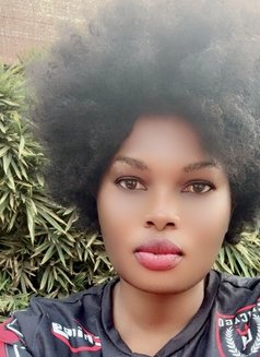 Anne - puta in Phuket Photo 1 of 1