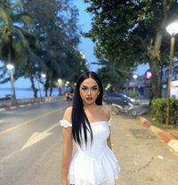 แอนน์ เรียว - Transsexual escort in Krabi