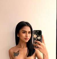Anne with Big Cock - Transsexual escort in Phitsanulok