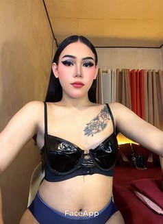 Annesarap - adult performer in Manila Photo 1 of 1