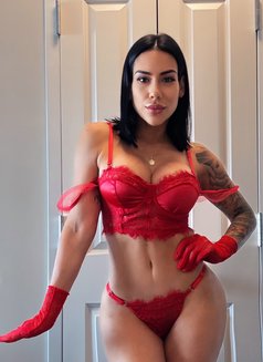 Annie Fox - escort in Dubai Photo 2 of 14