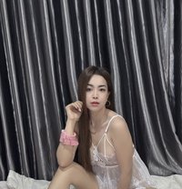 Annie incall3000/outcall3500 - escort in Bangkok Photo 19 of 30