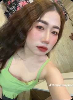 Annie massage in boshar - puta in Muscat Photo 20 of 20