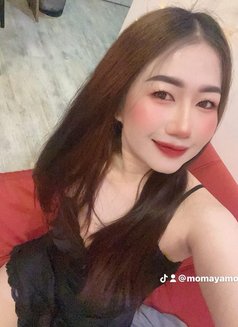 Annie massage in boshar - escort in Muscat Photo 16 of 17