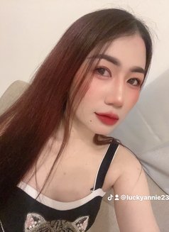 🦋Annie pro massage in bowsha - escort in Muscat Photo 10 of 14