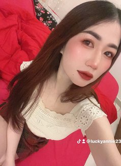 🦋Annie pro massage in bowsha - escort in Muscat Photo 9 of 15