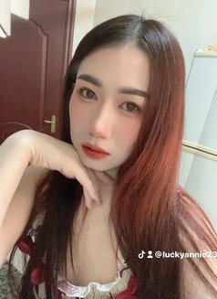 🦋Annie pro massage in bowsha - escort in Muscat Photo 16 of 18