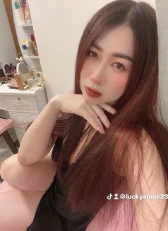 🦋Annie pro massage in bowsha - escort in Muscat Photo 18 of 18