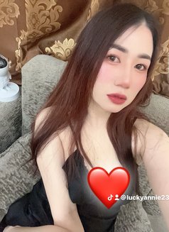 🦋Annie pro massage in bowsha - escort in Muscat Photo 12 of 13