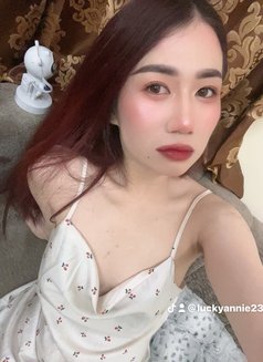 🦋Annie pro massage in bowsha - escort in Muscat Photo 15 of 16