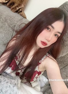 🦋Annie pro massage in bowsha - escort in Muscat Photo 9 of 13