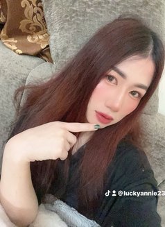 🦋Annie pro massage in bowsha - escort in Muscat Photo 10 of 13