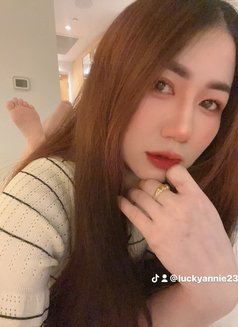 🦋Annie professional massage in bowshar - escort in Muscat Photo 17 of 19