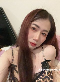 🦋Annie pro massage in bowsha - escort in Muscat Photo 13 of 15