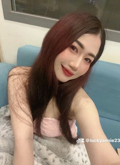 🦋Annie pro massage in bowsha - escort in Muscat Photo 15 of 15