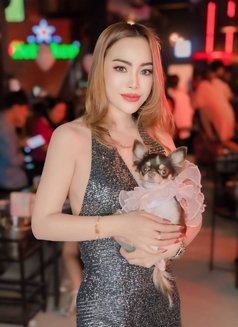 Annie incall3000/outcall3500 - escort in Bangkok Photo 7 of 30