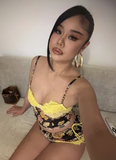Annie🇹🇭 - escort in Phuket Photo 10 of 10