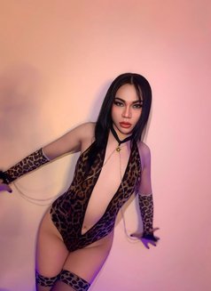 Annie - Acompañantes transexual in Muscat Photo 4 of 10