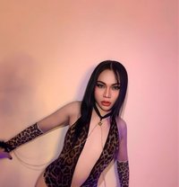 Annie - Acompañantes transexual in Muscat