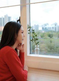 Annie - Transsexual escort in Pyeongtaek Photo 4 of 14