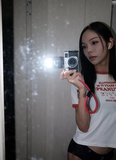 Annie - Transsexual escort in Pyeongtaek Photo 10 of 14