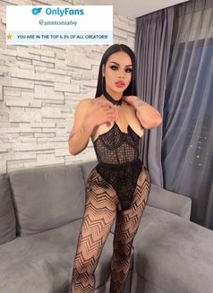 Anntonia Big & Cum Top6%Onlyfans Model - Transsexual escort in Singapore Photo 1 of 17