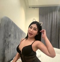 Annie Sweet Cock TH - Transsexual escort in Khobar