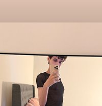 Anoud - Transsexual escort in Cairo
