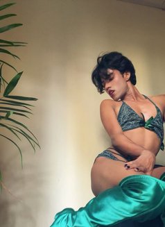 Anshu - Acompañantes transexual in New Delhi Photo 27 of 30