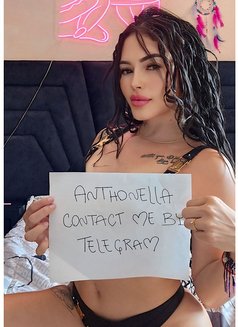 Anthonella - escort in Abu Dhabi Photo 10 of 15