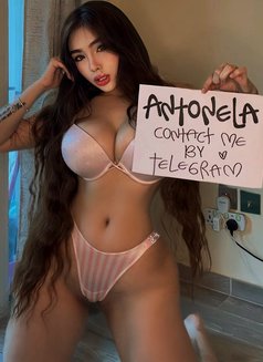 Antonela New - puta in Dubai Photo 6 of 8