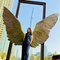 Anu GFE Indian - escort in Dubai Photo 3 of 7