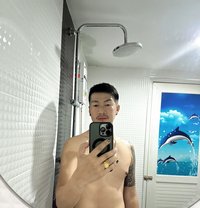 Anwer - Acompañantes transexual in Amman