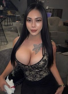 Aoffy New VIP 🇹🇭 - Acompañantes transexual in Fujairah Photo 10 of 10