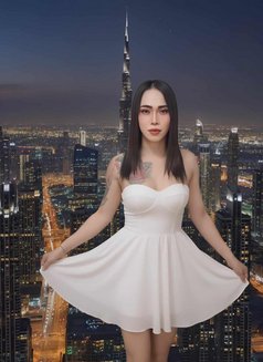 Aoffy - Transsexual escort in Fujairah Photo 12 of 14