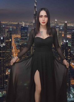 Aoffy - Transsexual escort in Fujairah Photo 13 of 14