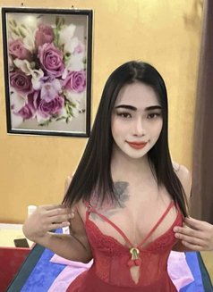 Aoffy - Acompañantes transexual in Fujairah Photo 16 of 16