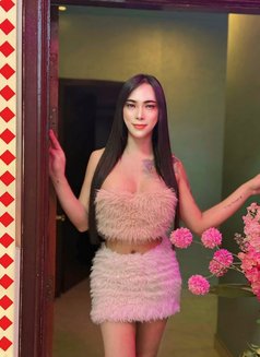 Aoffy - Transsexual escort in Fujairah Photo 17 of 18