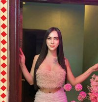 Aoffy - Transsexual escort in Fujairah