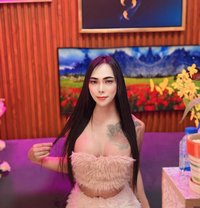 Aoffy - Transsexual escort in Fujairah