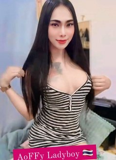 Aoffy VIP - Transsexual escort in Fujairah Photo 17 of 17