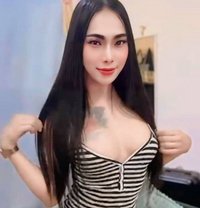 Aoffy VIP - Transsexual escort in Fujairah